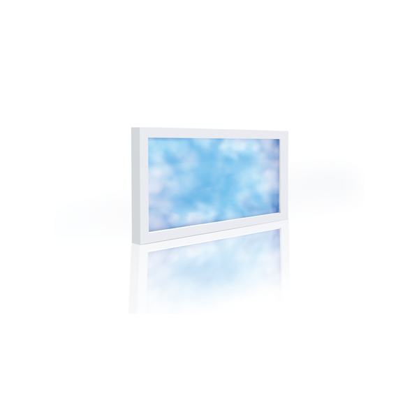 Sky Window (20203061001)